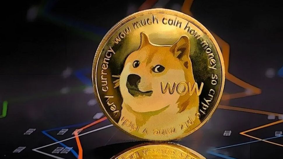 Dogecoin's Remarkable Surge: Large Transaction Volume Spikes 41% as Network Activity Intensifies